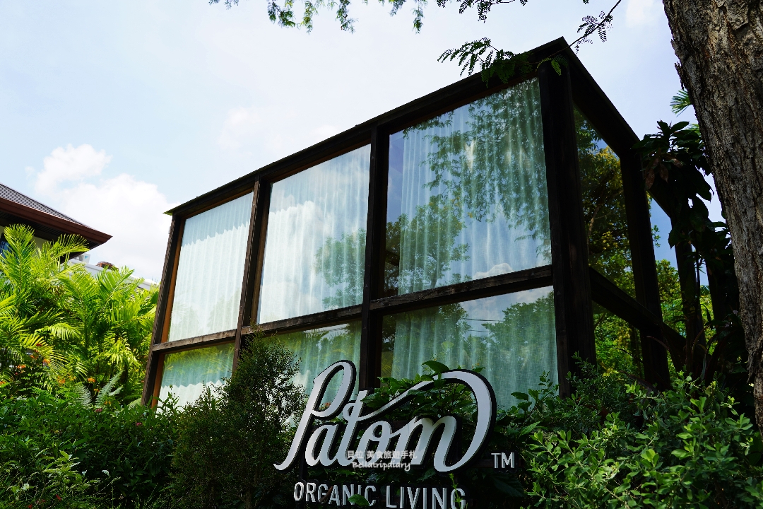 [泰國 曼谷]Potom Organic Living 有機咖啡館