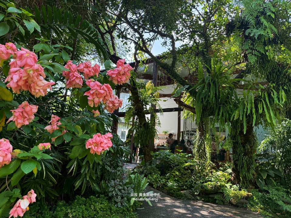 [泰國 曼谷]Potom Organic Living 有機咖啡館