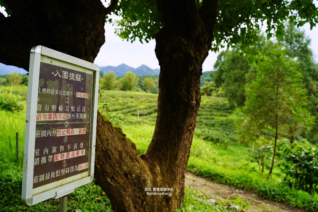 [南投] 鹿篙咖啡莊園 走進山與茶之間，品一杯慢下來的午後