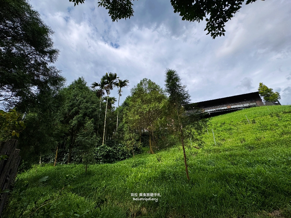 [南投] 鹿篙咖啡莊園 走進山與茶之間，品一杯慢下來的午後