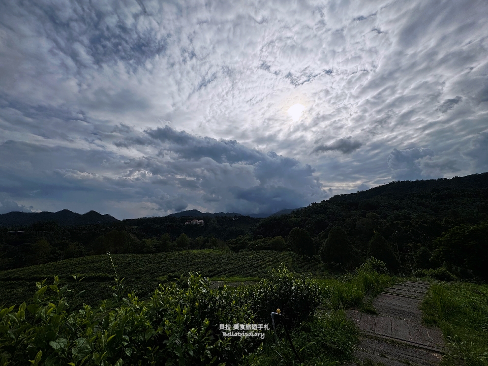 [南投] 鹿篙咖啡莊園 走進山與茶之間，品一杯慢下來的午後